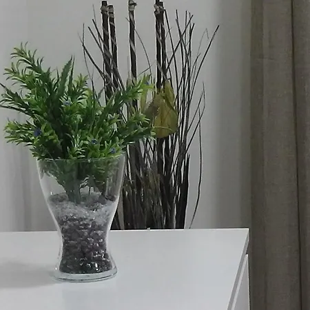 Piso Centrico 2